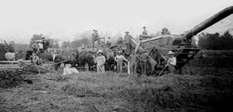 Harvest Photo Opens Window onto the Past Image